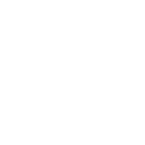 VOICE